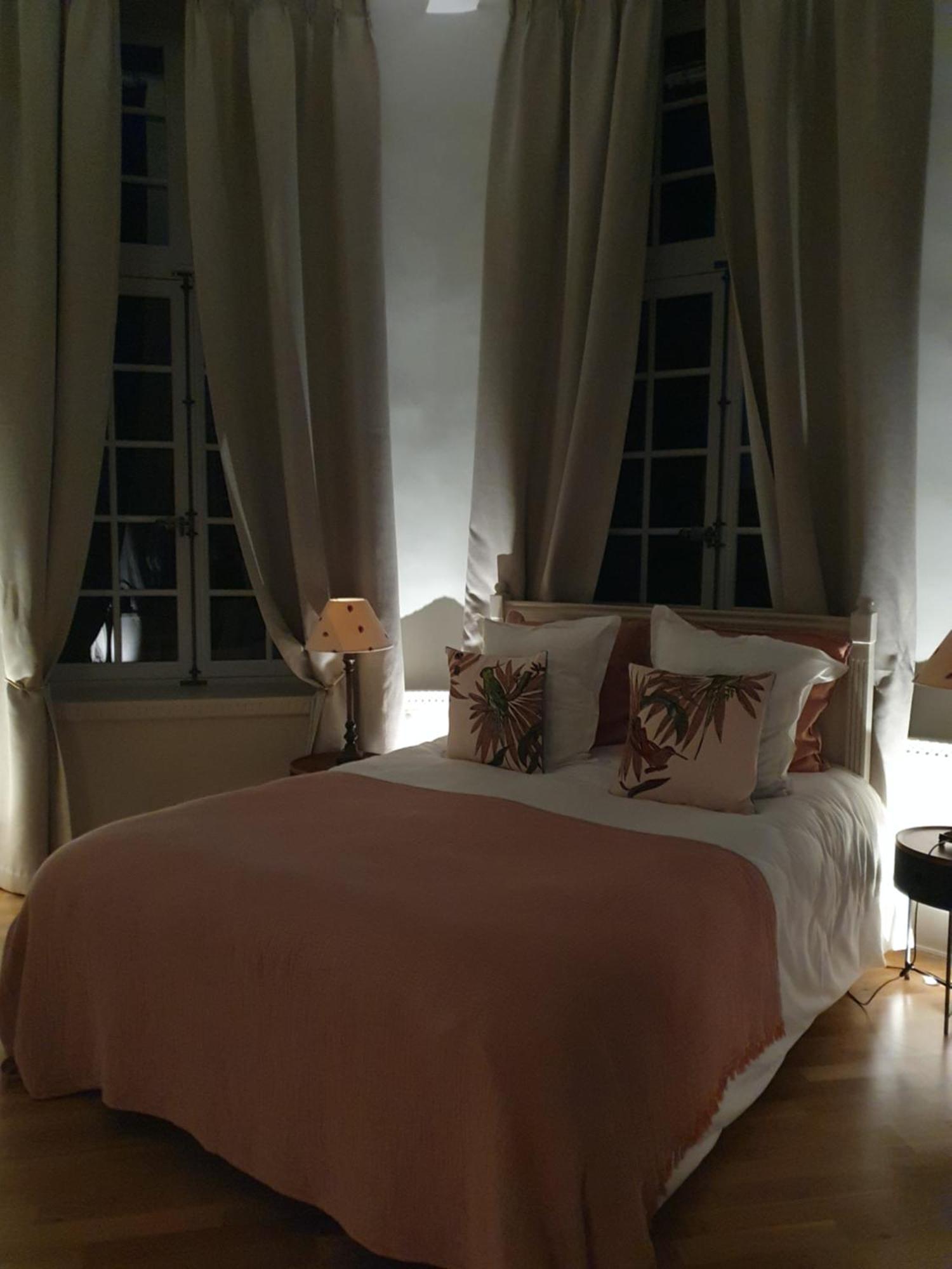 Chateau Du Bois De La Noe Bouaye Экстерьер фото