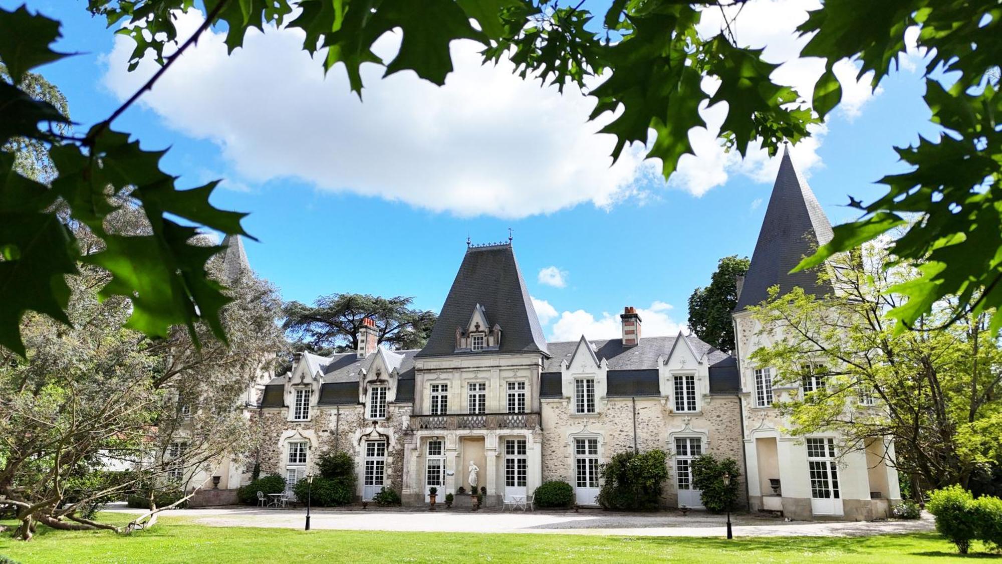 Chateau Du Bois De La Noe Bouaye Экстерьер фото