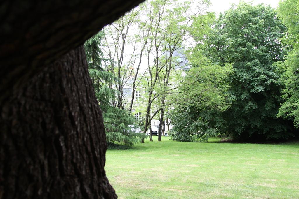 Chateau Du Bois De La Noe Bouaye Экстерьер фото