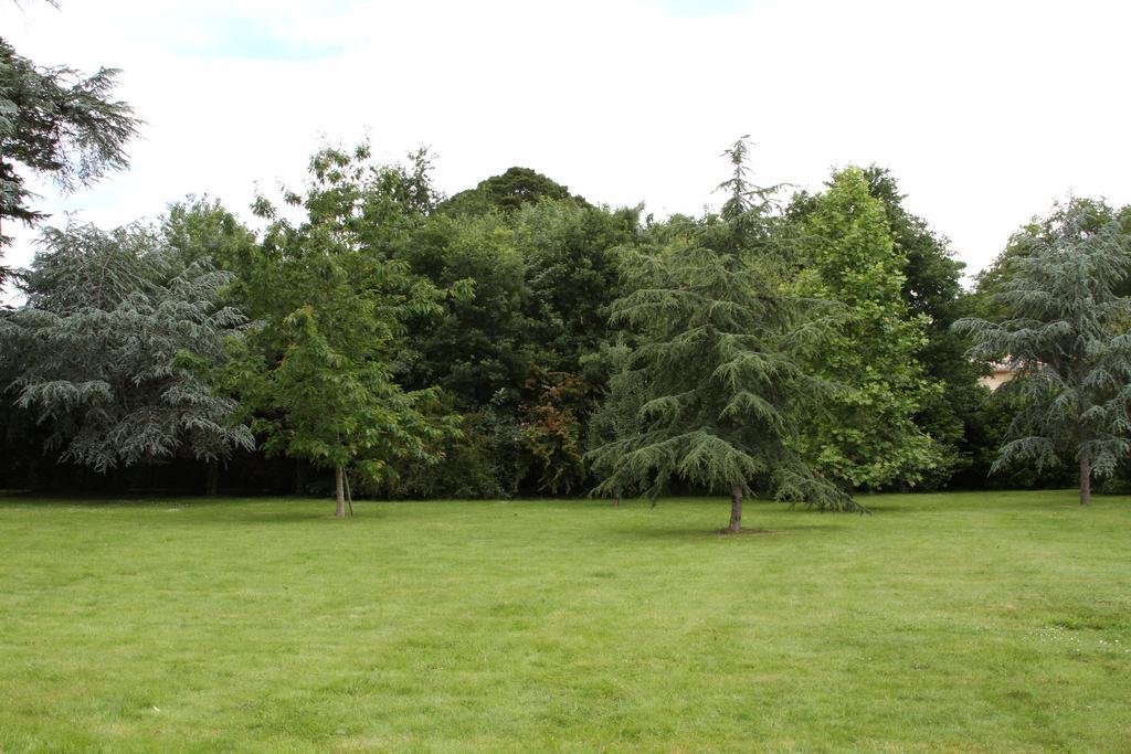 Chateau Du Bois De La Noe Bouaye Экстерьер фото