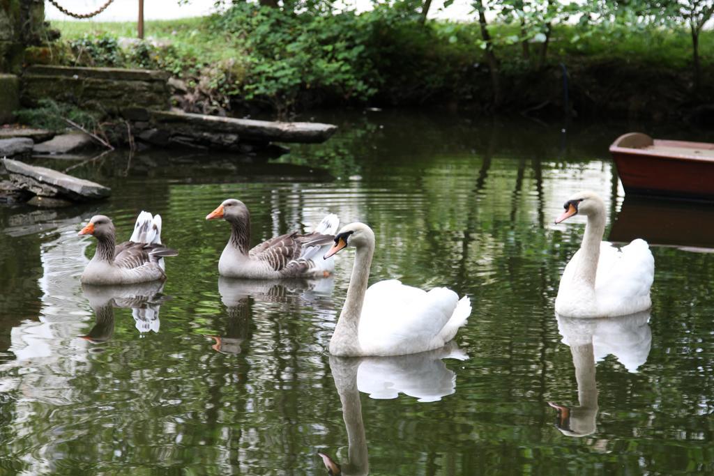 Chateau Du Bois De La Noe Bouaye Экстерьер фото
