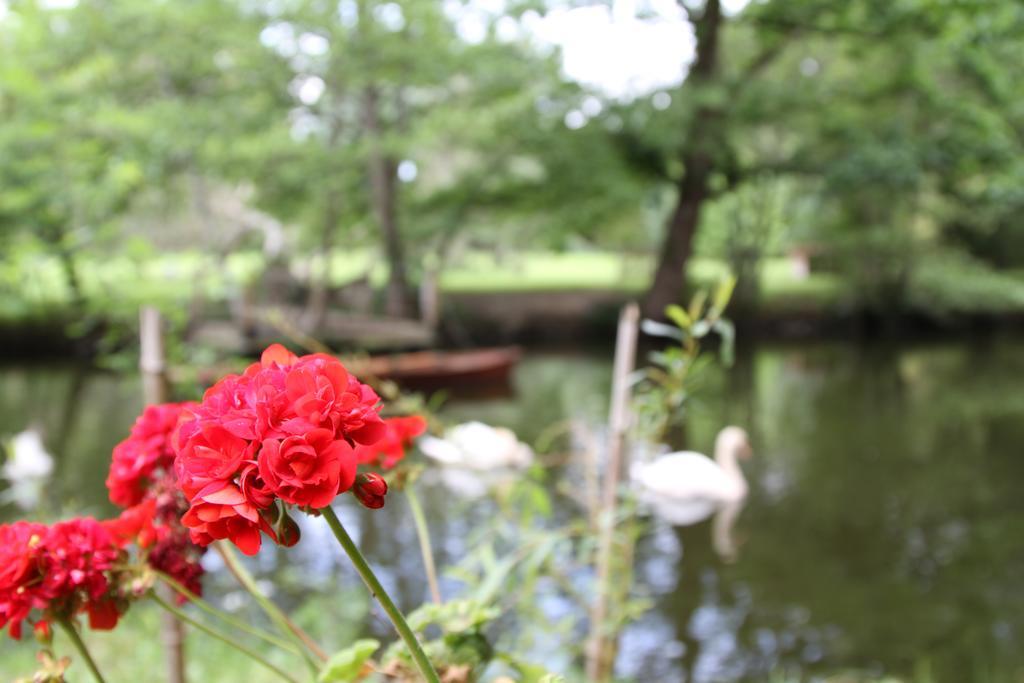 Chateau Du Bois De La Noe Bouaye Экстерьер фото